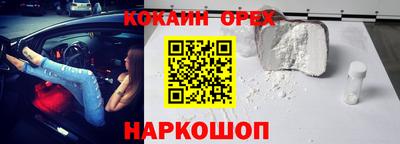 прущие грибы Партизанск
