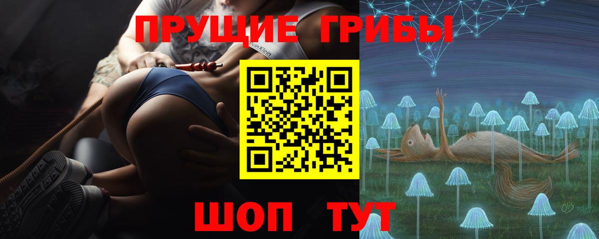 Галлюциногенные грибы прущие грибы  Галлюциногенные грибы прущие грибы  Рассказово  Вход с VPN 